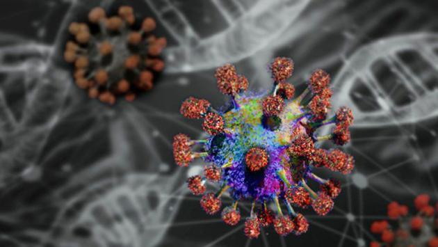 molecola coronavirus