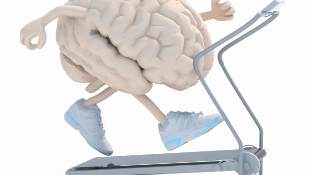 Muoviti! Aumenteranno   muscoli ed  intelligenza