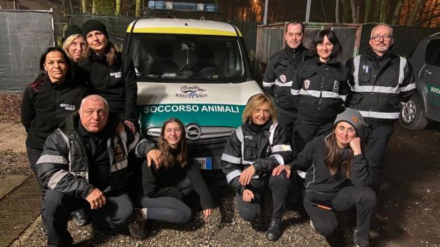 Rescue Dogs, il Capodanno è da volontari