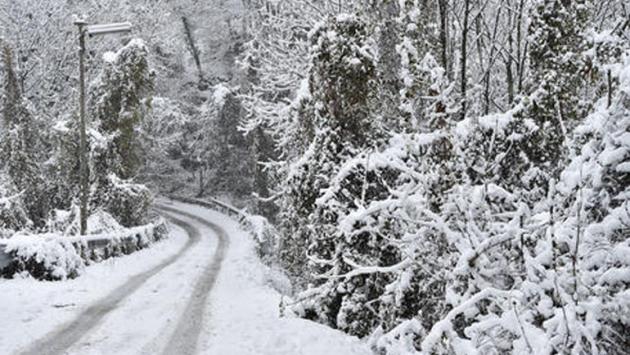neve