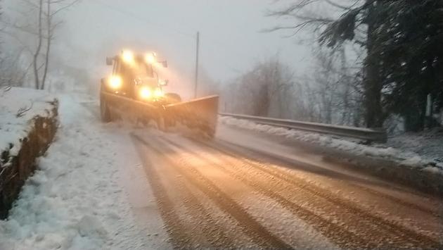 Neve