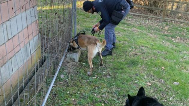Controlli straordinari del territorio finalizzati al contrasto della criminalità: sequestri di droga a Parco Ducale e Parco Falcone e Borsellino e Parco nord.