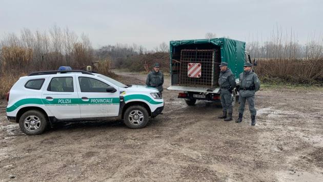 impianto sequestrato