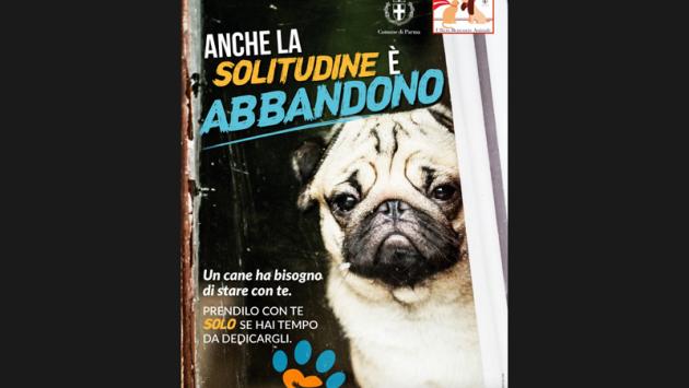 Benessere animale: via alle campagne