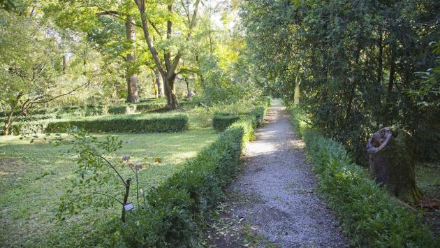 CS Interno verde cerca giovani volontari amanti dei giardini