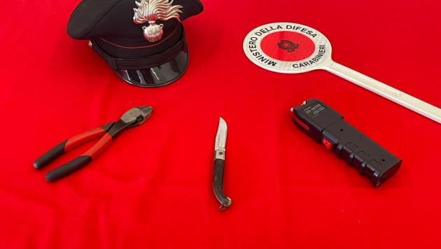 Minaccia la vigilanza con il taser e fugge. Bloccato ed arrestato dai carabinieri   