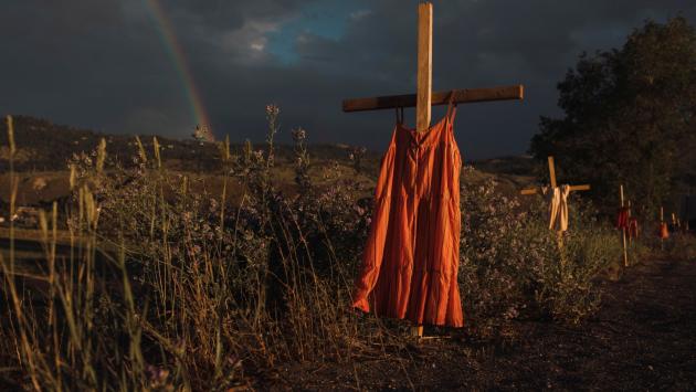 Amber Bracken ha vinto il World Press Photo of the Year 2022