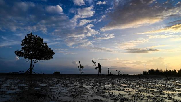 Terra sempre più calda, un milione di specie a rischio