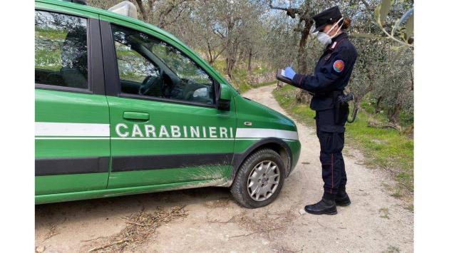 NSC 25 aprile 2022 trasferimenti Carabinieri Forestali e disagi Corniglio