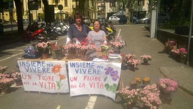 Vendita benefica  dei fiori  con polemica 