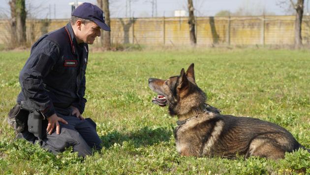 Toano - Trovato morto nel pozzo: nota nucleo cinofili carabinieri