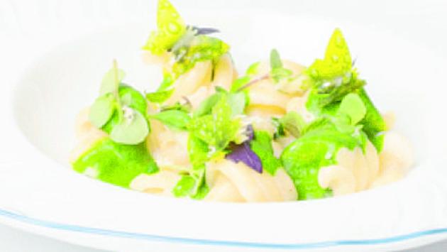 Trottole di Gragnano basilico e siero di Parmigiano