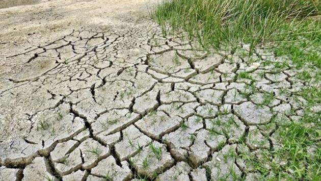 Il 2022 è stato l'anno più caldo della storia in  Italia da quando ci sono le rilevazioni scientifiche