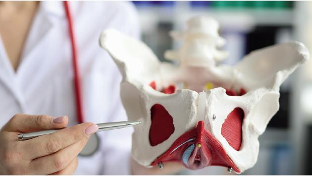 Riabilitazione del pavimento pelvico: quando è indicata?