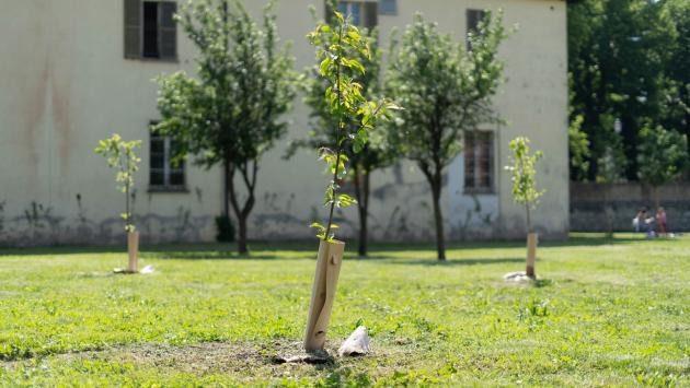 KilometroVerdeParma: opportunità formative per i più giovani