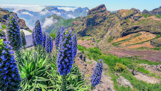 Madeira, l'isola che c'è 