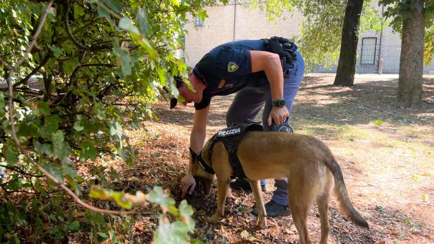 Controlli straordinari del territorio finalizzati al contrasto della criminalità: sequestri di droga al Parco Ducale , Parco Falcone e Borsellino Stazione Ferroviaria