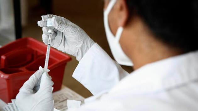 Virus vaiolo delle scimmie potrebbe annidarsi nei testicoli