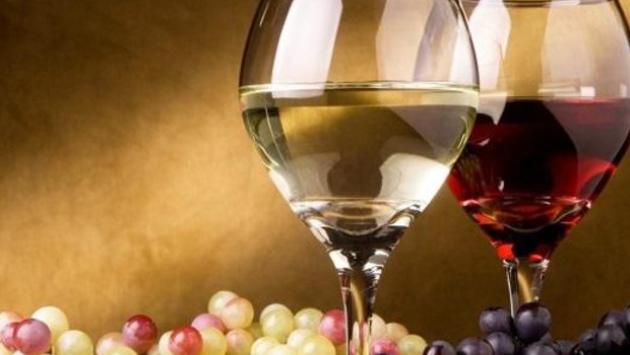 Vini di vignaioli, in mostra 220 produttori
