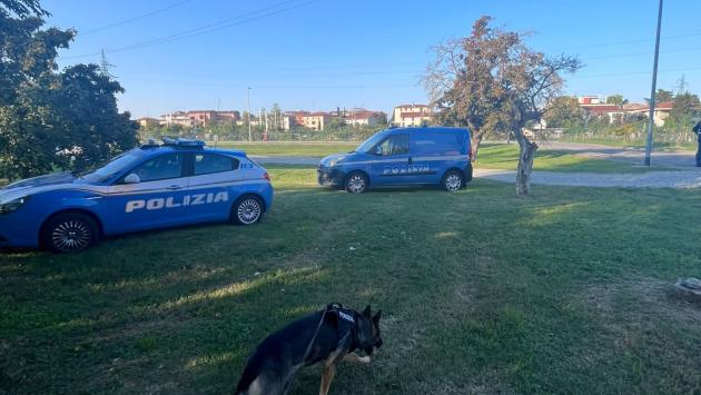 Polizia di stato