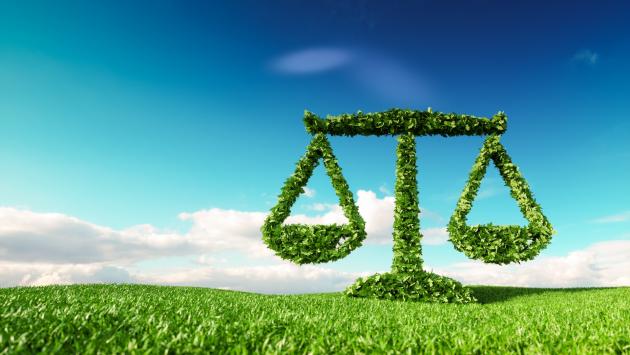 Economia: focus sui bilanci di sostenibilità