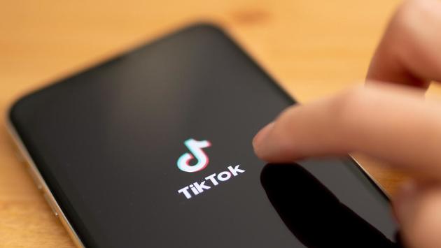 Stalking: botte e diretta TikTok per denigrarla, arrestato