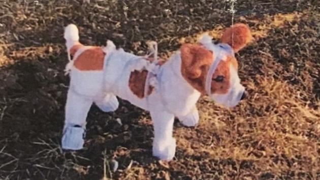 Ecco i peluche elettrificati