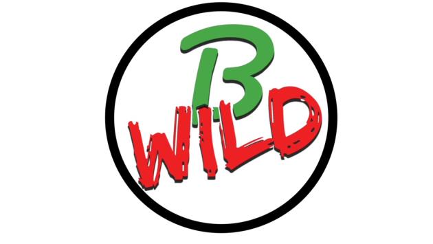 B-Wild
