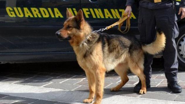 Droga: Gdf smantella associazione criminale, 18 arresti