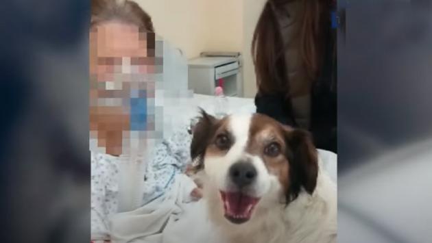 Cane in ospedale per l'ultimo saluto - Video