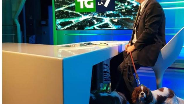 Mentana conduce il Tg de La7 con i cani sotto la scrivania: tanta simpatia sui social