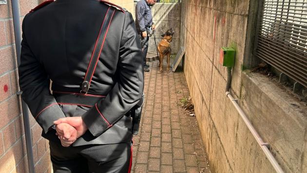 Lotta alla droga, i carabinieri con i cani al Gadda di Fornovo, nei parchi e  in stazione: 5 giovani segnalati 