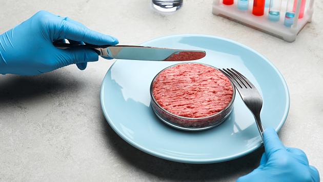 Regioni, 'siamo contrari al cibo sintetico' 