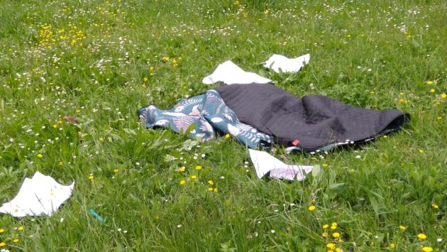 "Al parco Ferrari come in una carraia. E quello che resta sono solo rifiuti"