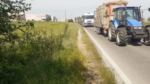 «Vogliamo la ciclabile»: partita la raccolta di firme