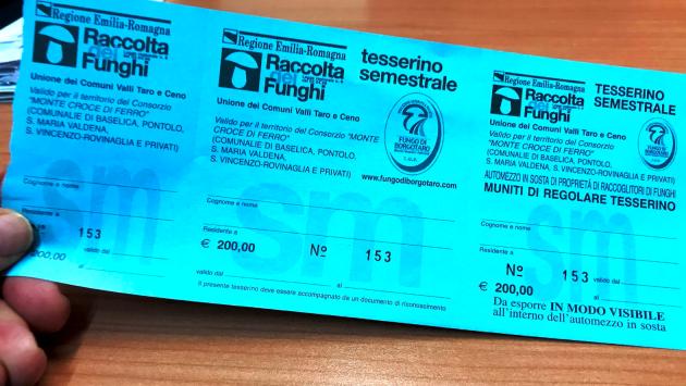 Moltissimi funghi, zero tesserini: se li raccogli possono multarti