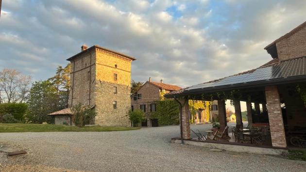 «Il nostro agriturismo assediato dai lupi: non ce la facciamo più»