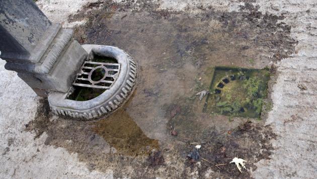 Lotta alle zanzare: tutti i consigli per difendersi dalla «tigre»