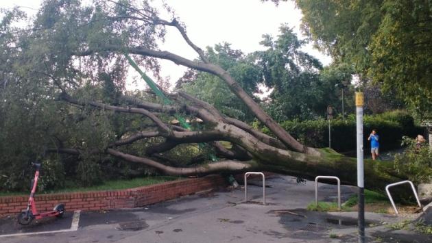 Ragazza 16enne muore al campo scout travolta da un albero nel Bresciano: stava dormendo nella tenda