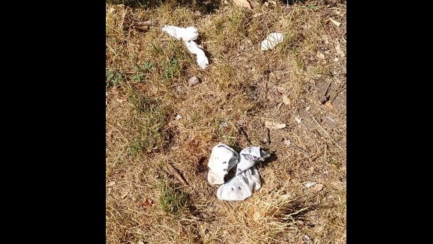 Calze e mutande sul prato del parco Ferrari