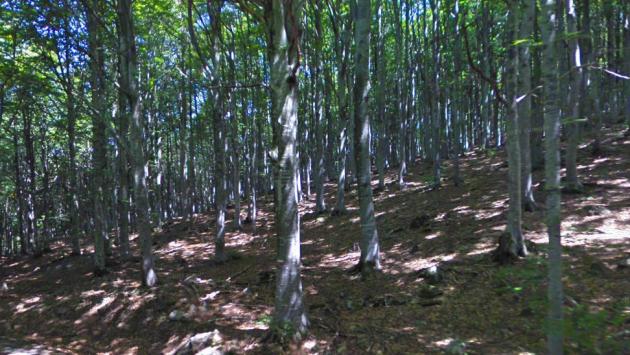 Escursionista si perde sul monte Molinatico lungo la via Francigena, recuperata dal soccorso alpino
