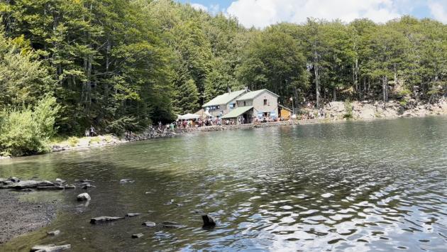 Arriva il “bosco bus”: da Parma città sino all’appennino 