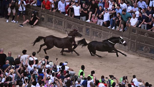 Il Palio va all'Oca che vince con il cavallo scosso