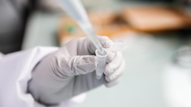 Dai batteri intestinali una speranza contro la Sla e la sindrome di Dravet
