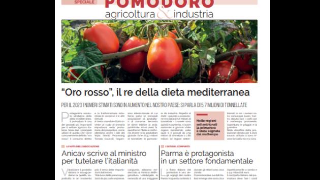 Speciale pomodoro: (domani) inserto di 16 pagine sull' "oro rosso"