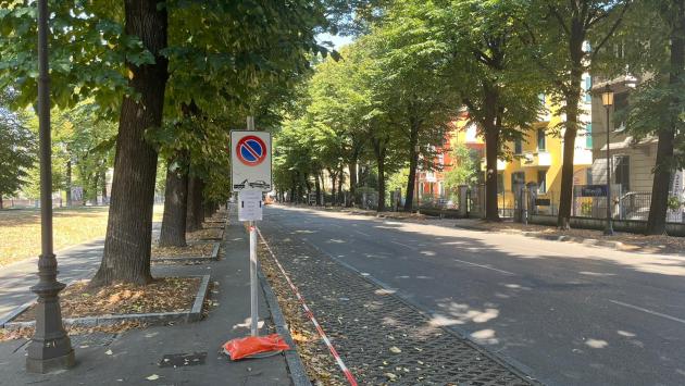 Parma, al via il censimento degli alberi dei viali della città