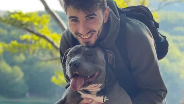 Parma, gara di solidarietà per salvare Leone: il pit bull è in una clinica privata da 100-150 euro al giorno