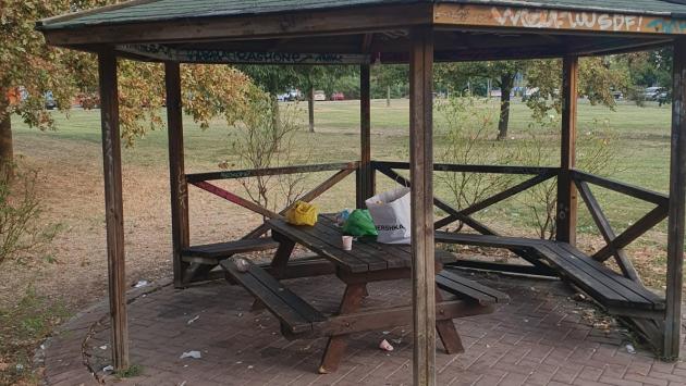 Degrado nell'area verde tra via Fellini e Piazzale Chaplin. Il lettore: "La mattina puliscono e la notte sporcano"