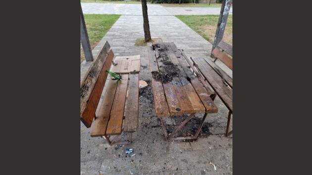 Parco scuola Newton