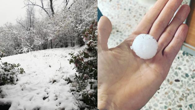 Neve